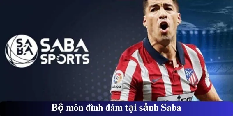 Bộ môn đình đám tại sảnh Saba