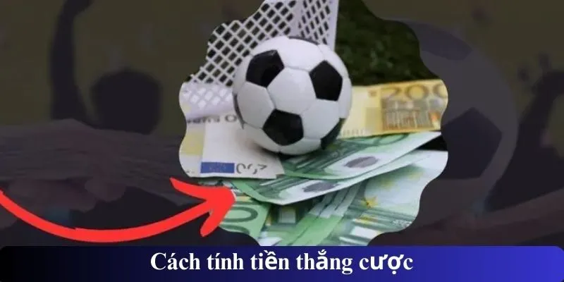 Cách tính tiền thắng cược
